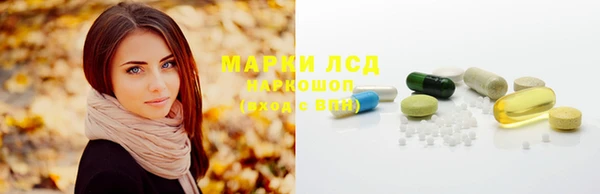 соль ск Богородск