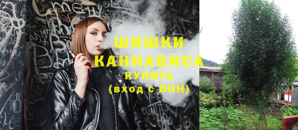 МДПВ Белокуриха
