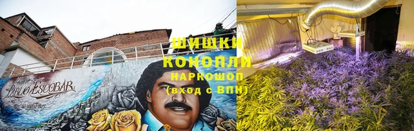 МДПВ Белокуриха