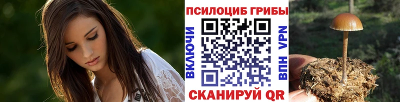 Галлюциногенные грибы ЛСД  где купить наркотик  Междуреченск 
